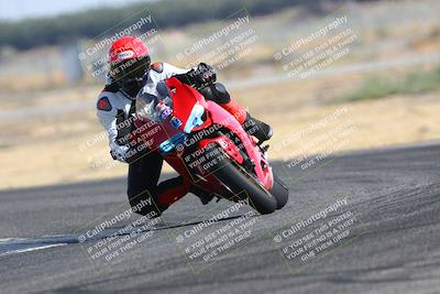 media/Aug-03-2024-TrackDaz (Sat) [[30bed884ff]]/B Group/920am (Sweeper)/